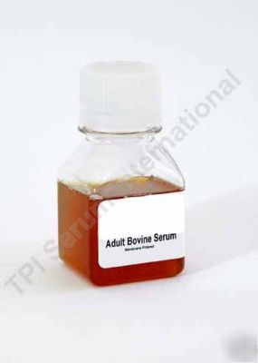 U.s. origin adult bovine serum (100ML)