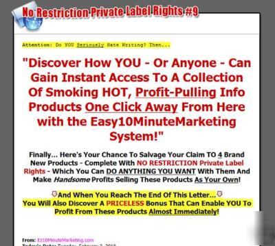 Established website for sale EASY10MINUTEMARKETING.com