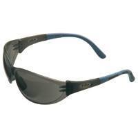 Msa arctic elite safety glasses with smoke lens 