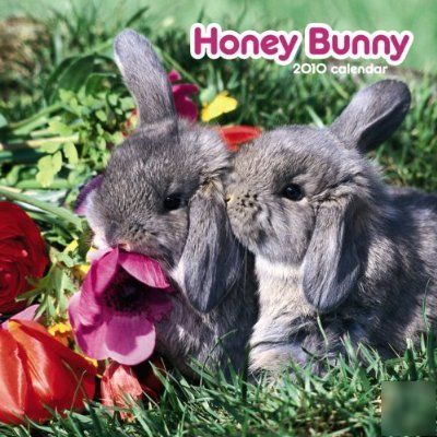 Honey bunny 2010 mini wall calendar