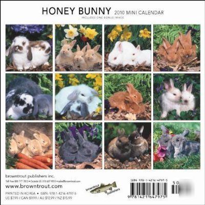 Honey bunny 2010 mini wall calendar