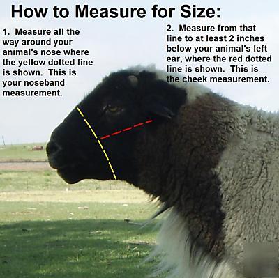 Rope halter for sheep goat llama - pick size & color 