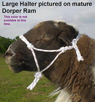 Rope halter for sheep goat llama - pick size & color 