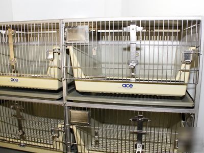 Dog cat rabbit stainless steel 6 cage unit allentown 