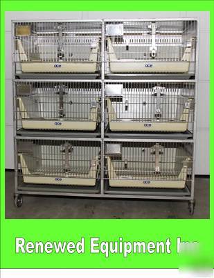 Dog cat rabbit stainless steel 6 cage unit allentown 