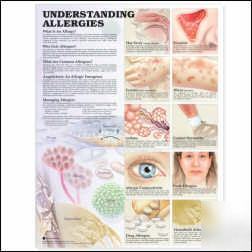 Understanding allergies 2ND edition anatomical chart