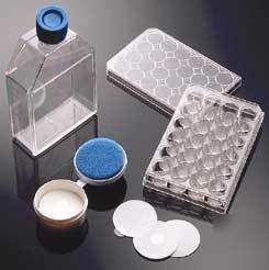 Bd biocoat cellware, poly-lysine, bd biosciences 356516