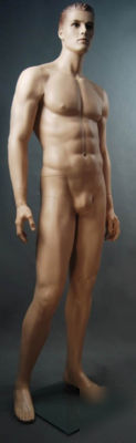 New male mannequin GM24.