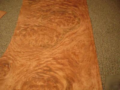 Large bubinga cluster burl veneer 10SF