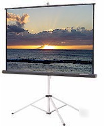 Da-lite 84X84 deluxe high power tripod screen