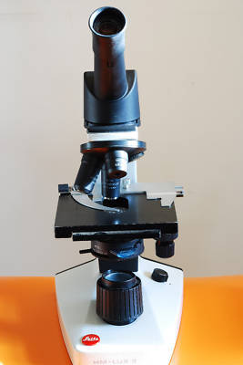 Leitz hm-lux 3-illuminated microscope-monocular-4,10,40