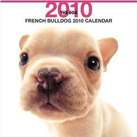 French bulldog 2010 wall calendar