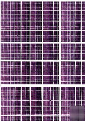 Liiiiiiiiiiiiii 10 pictures in different colours